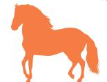 Georgia Paso Fino Horse Association