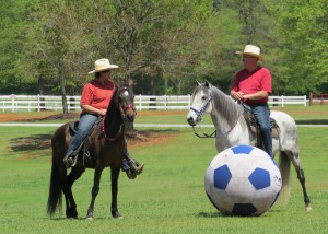 Paso Fino Fun